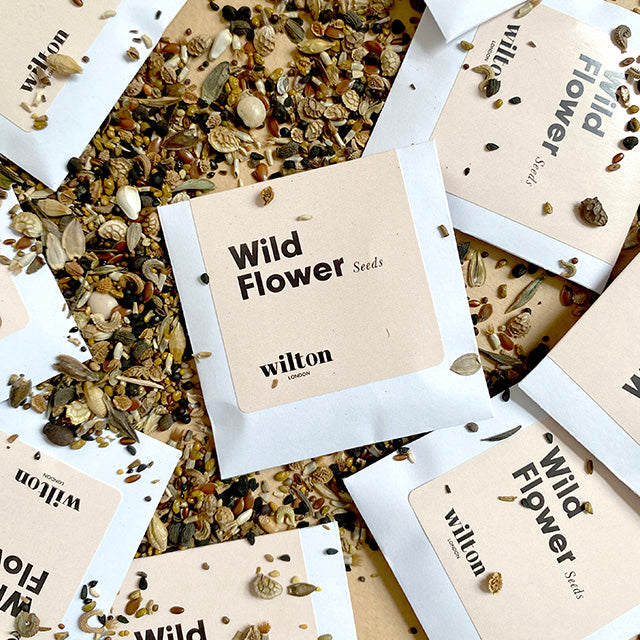How to plant your wildflowers