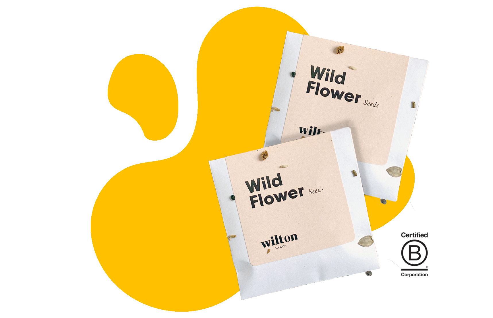 world environment day eco friendly cleaning products